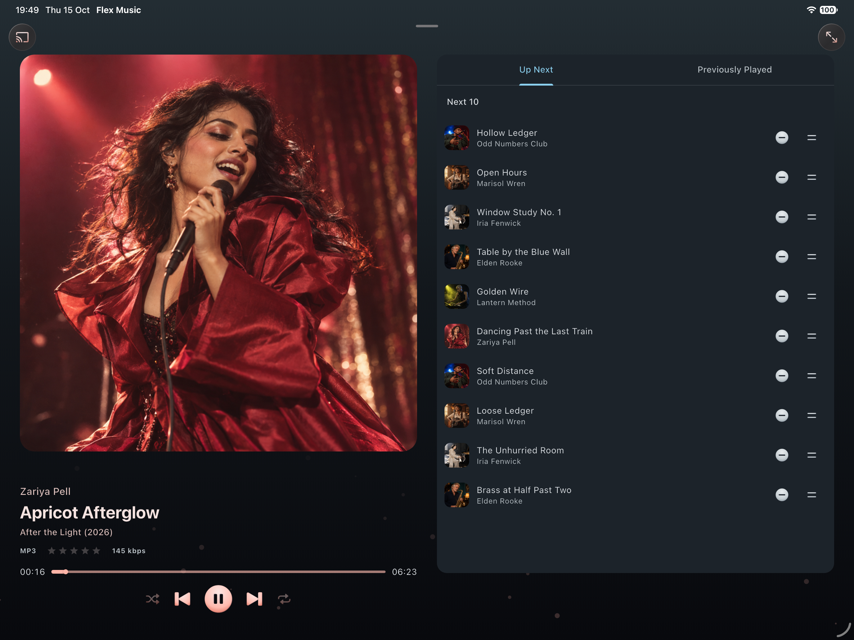 Flex - Music Player on iPad with album artwork beside the Up Next queue
