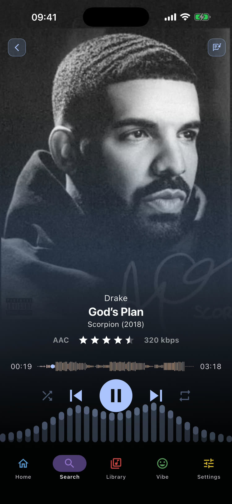 Flex - Music Player now-playing screen with the bars visualizer running beneath the transport controls